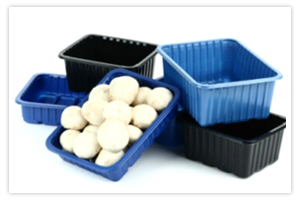 Mushroom Packing Trays